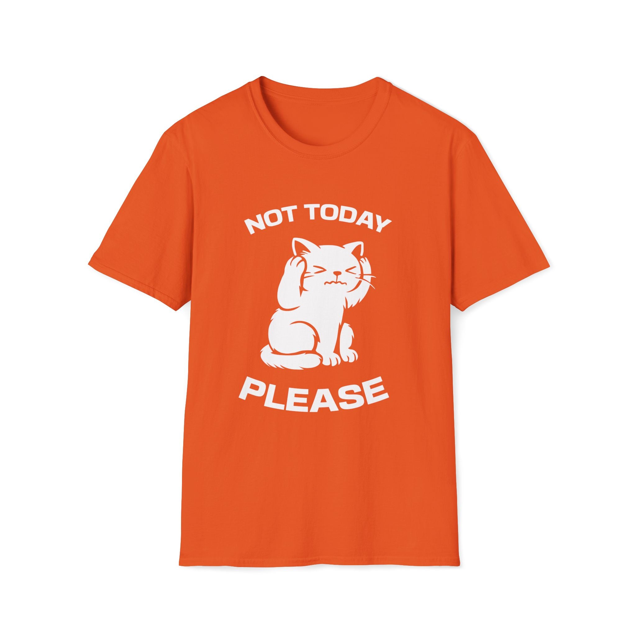 T-Shirt — 'Not Today Please' Tired Cat Graphic Tee (Tired jokes)