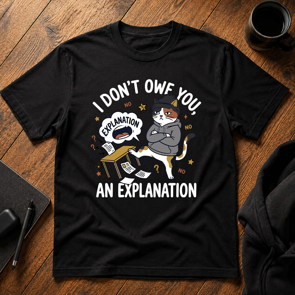 I don't owe you an explanation T-Shirt