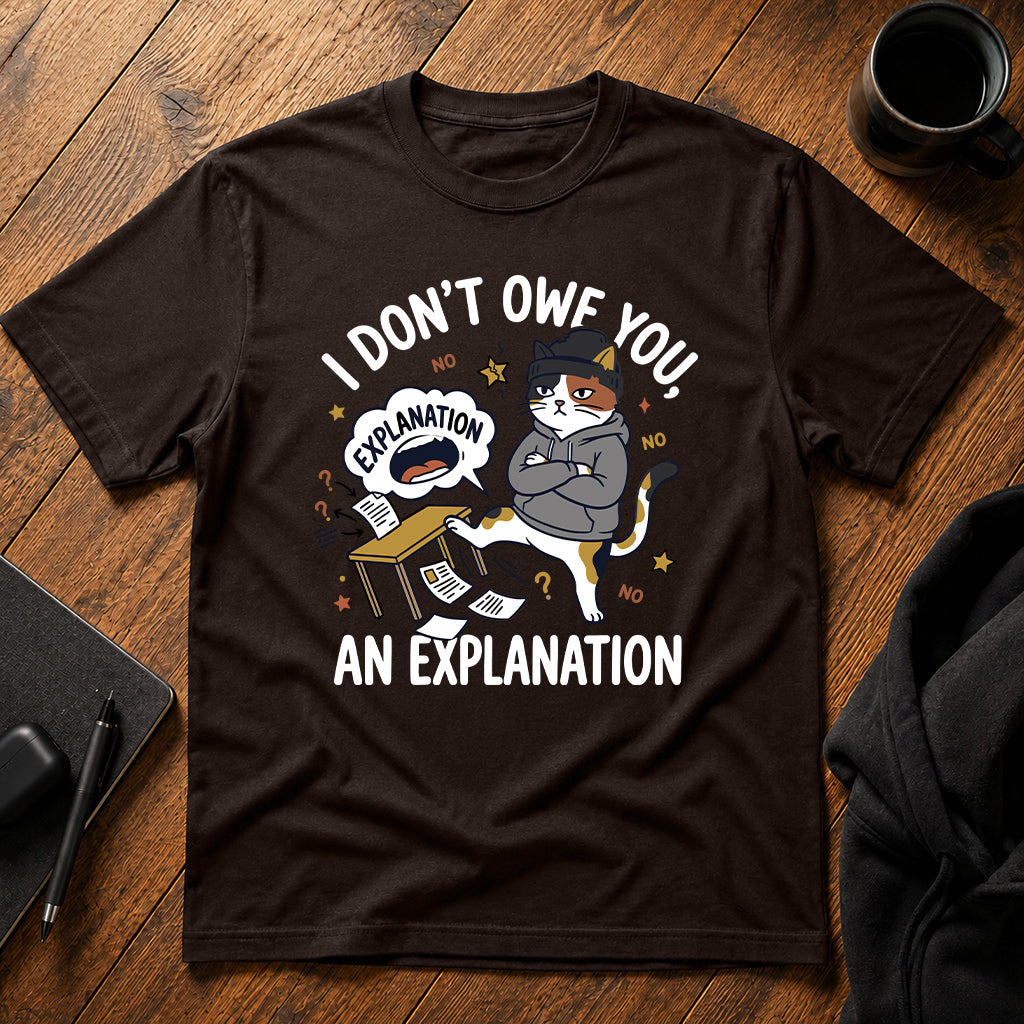 I don't owe you an explanation T-Shirt