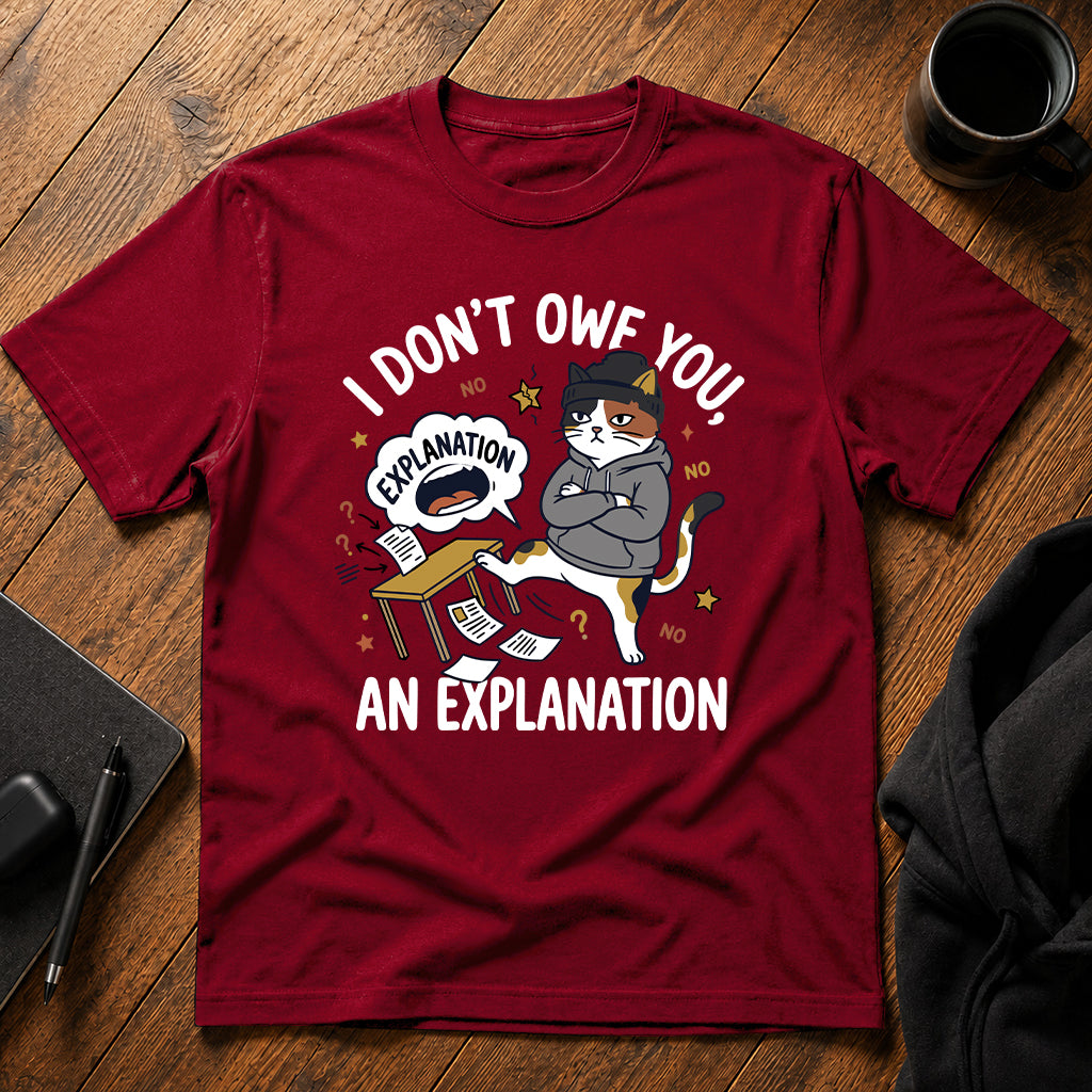 I don't owe you an explanation T-Shirt